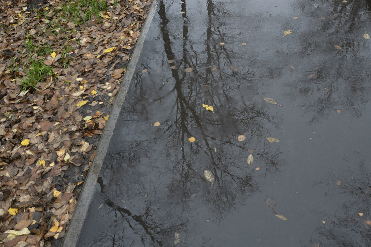 Отражение - Александр Буторин Отражение - Александр Буторин