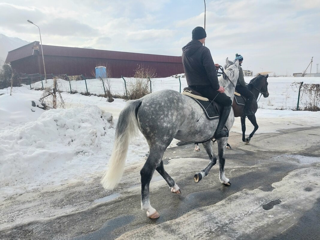 Talgar. Ak Bulak. - Murat Bukaev 