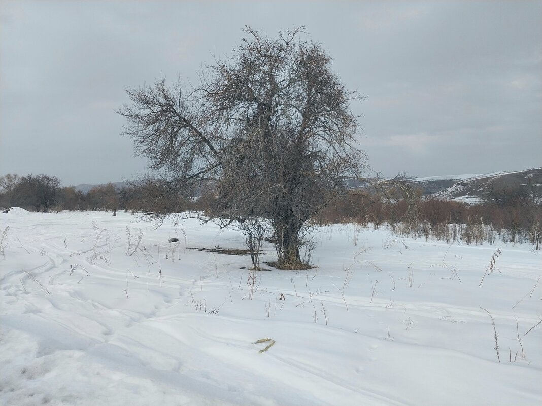 Talgar. - Murat Bukaev 