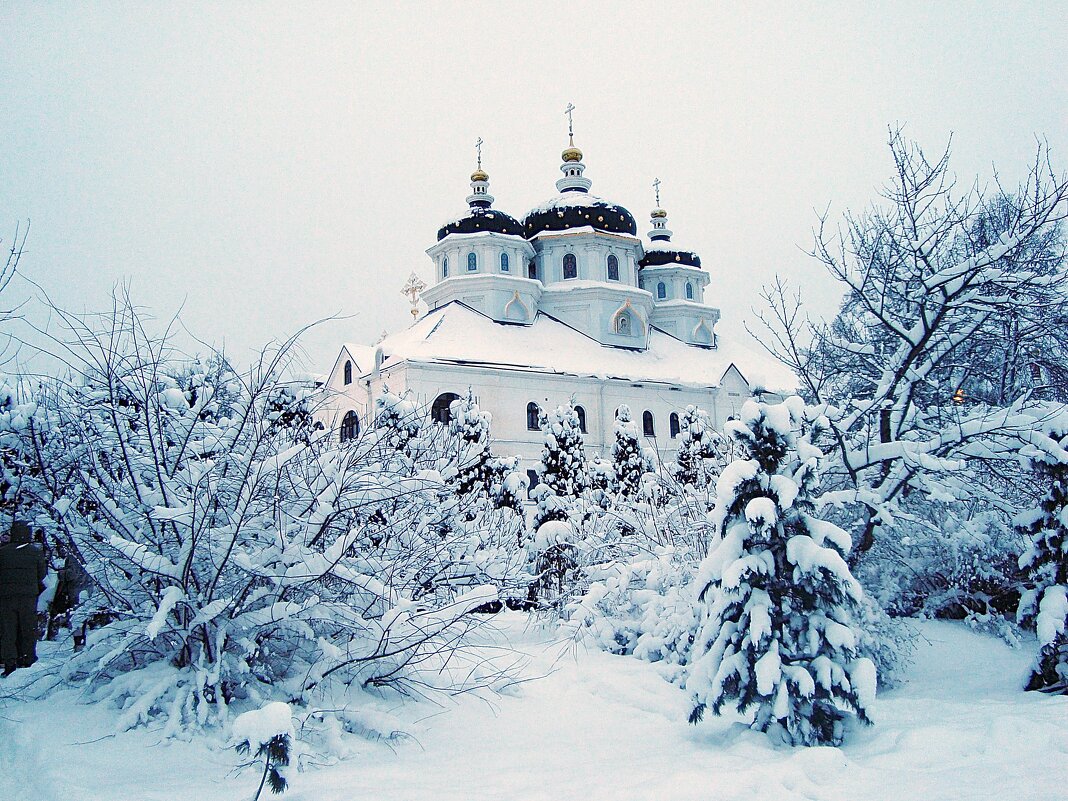 Храм святой блаженной Ксении Петербургской - Лидия Бусурина