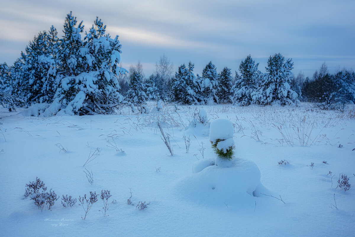 На фотографии изображён зимний пейзаж, наполненный спокойствием и прохладой. - NikitinAleks 