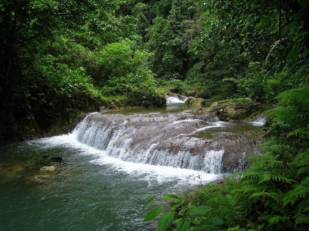 На острове Малаита. - unix (Илья Утропов)