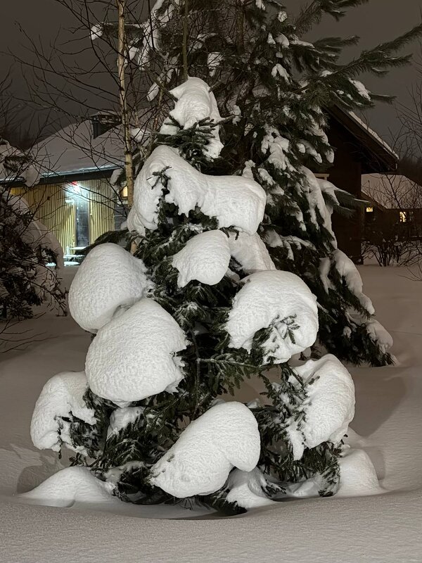 А за городом зима,зима, зима... - Pippa 