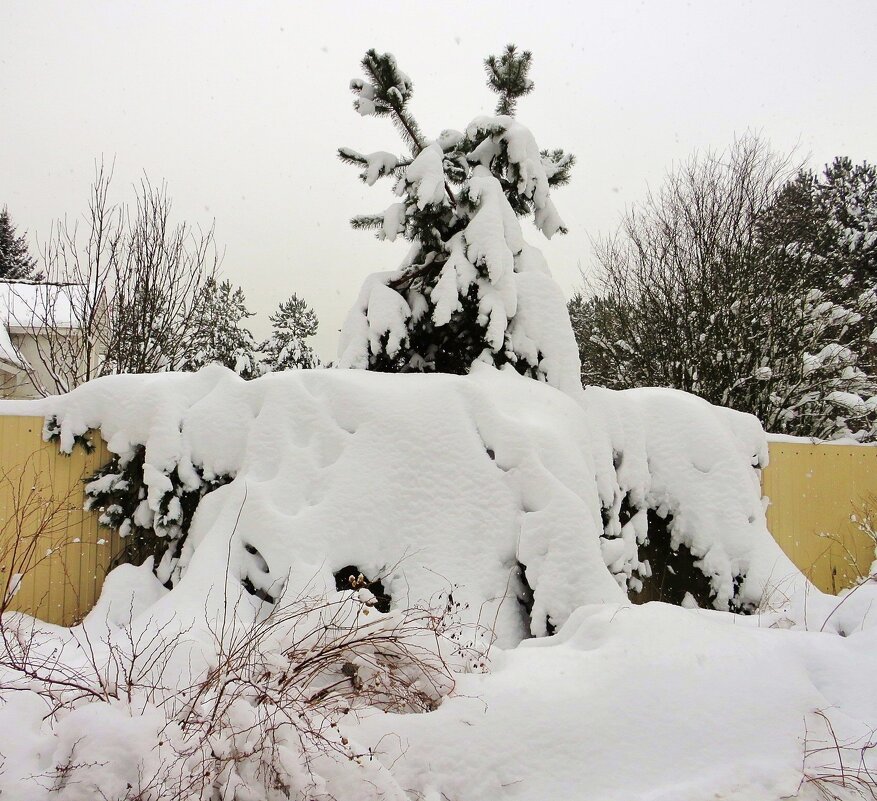 Замело... - Андрей Снегерёв