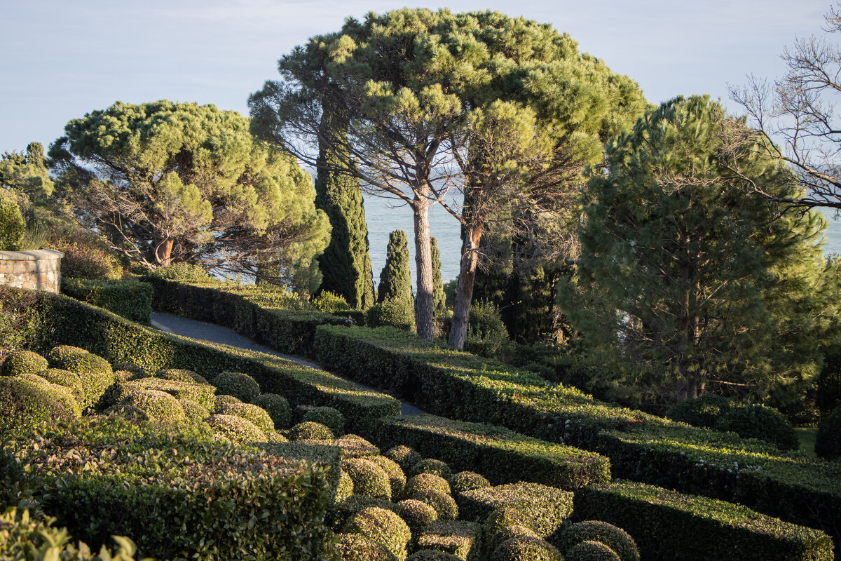 Воронцовский парк. - Дмитрий А Воронцовский парк. - Дмитрий А