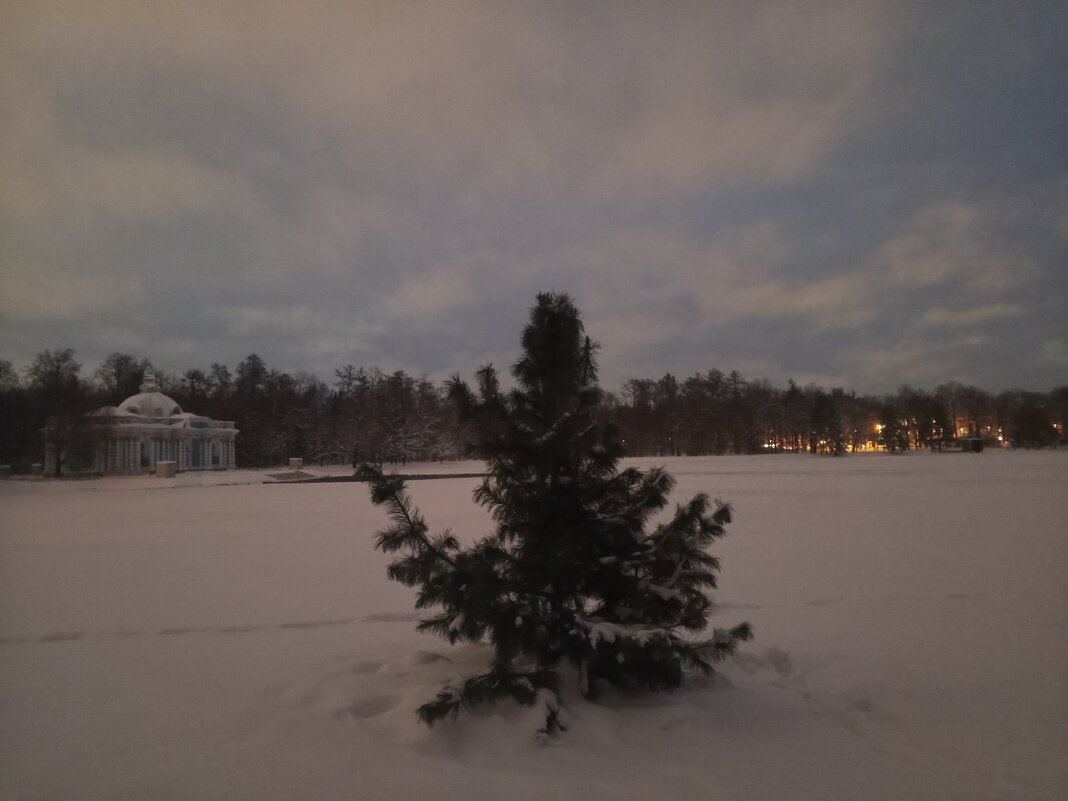 Зима - Сапсан 