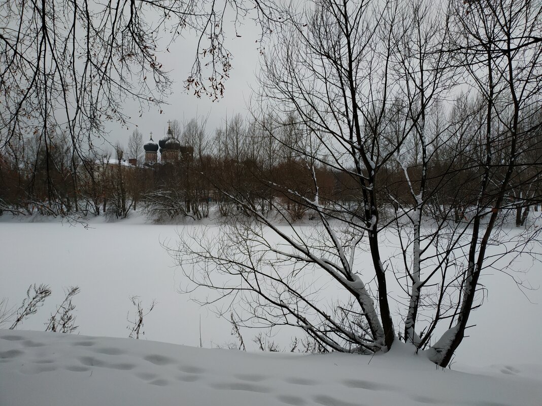 Сезон нецветной фотографии в разгаре - Андрей Лукьянов