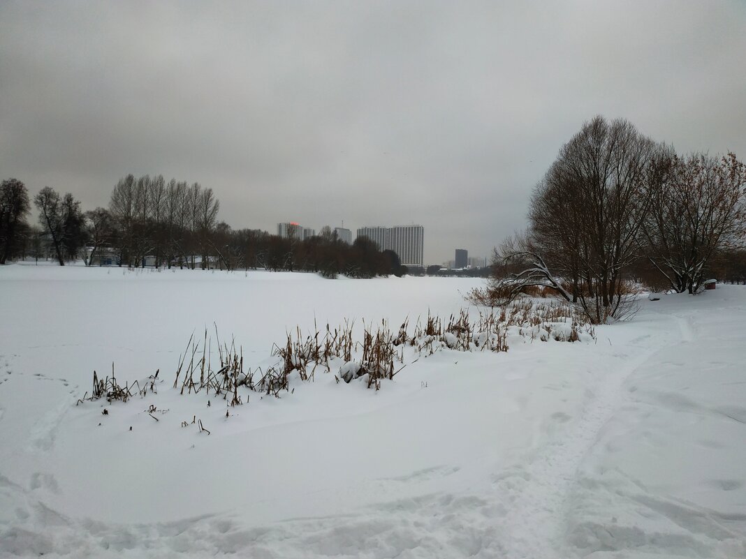 Сезон нецветной фотографии  в разгаре - Андрей Лукьянов