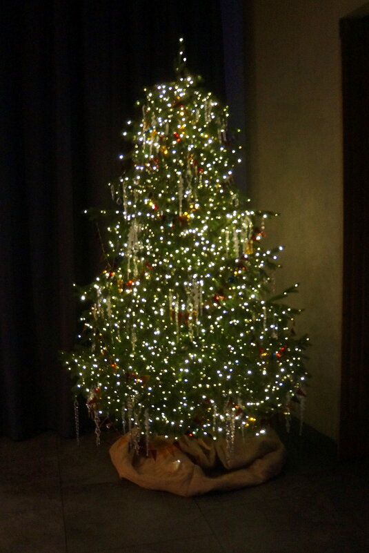 ёлочка в фойе к/т Художественный - zavitok *