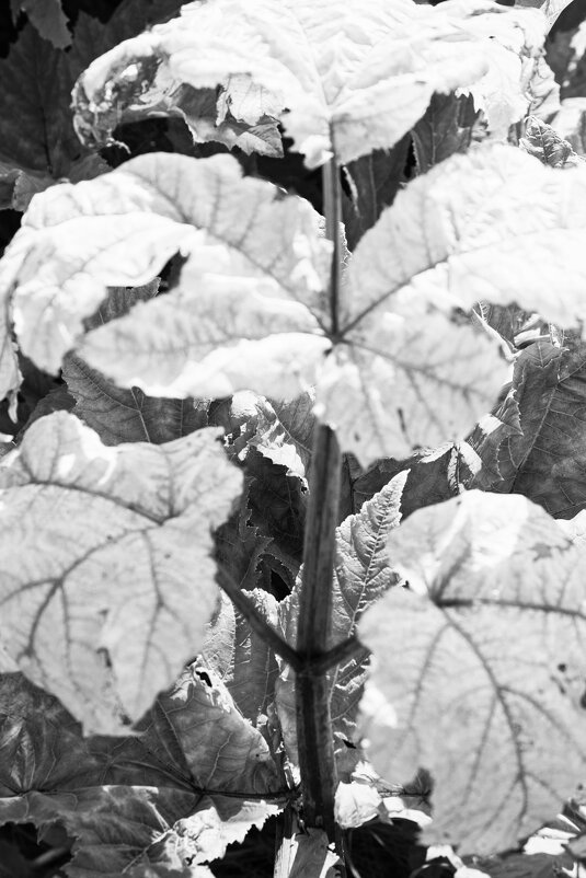 Фотография - Денис Безногов