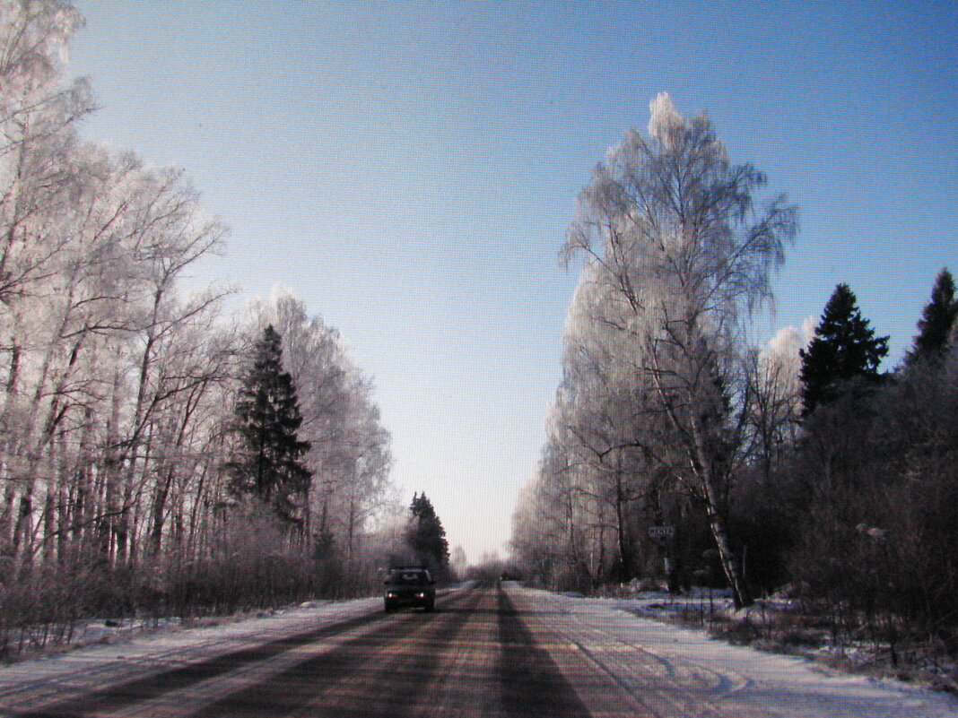 По зимней дороге - Людмила Смородинская