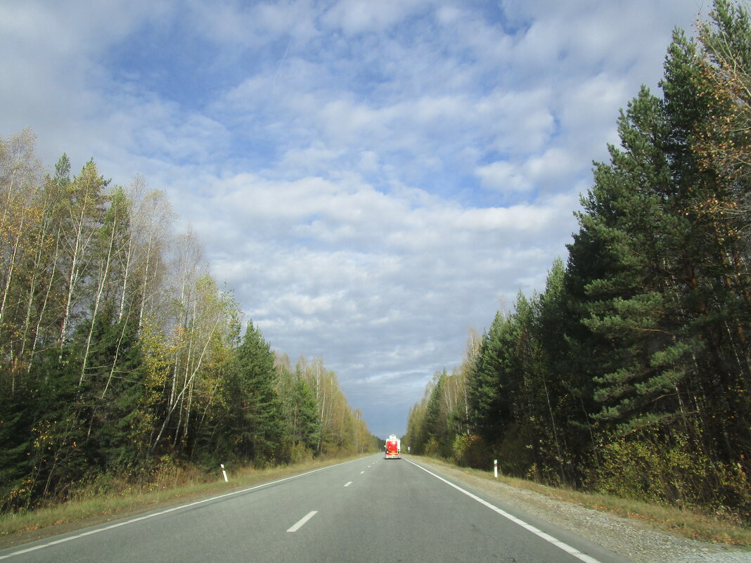 дорога на Нижний Тагил - Елена Шаламова