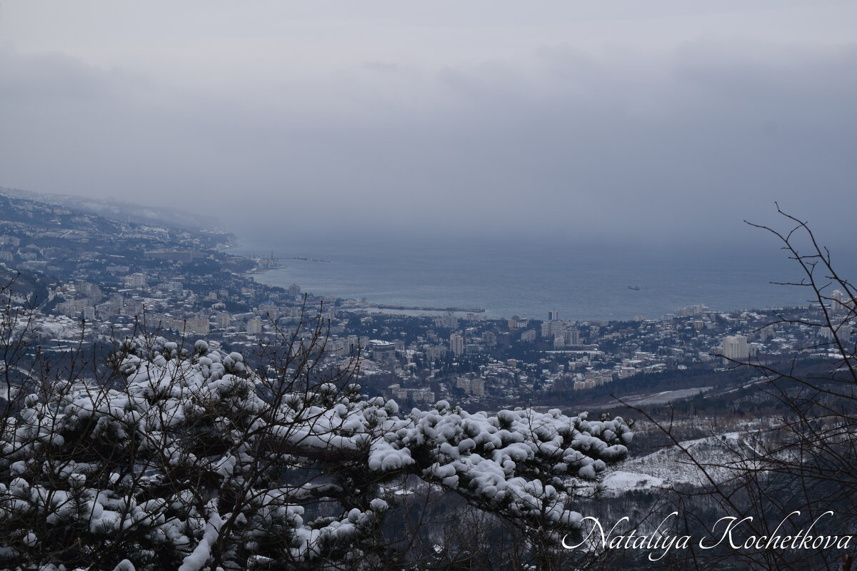 Природа Крыма - Amazing Cosmea