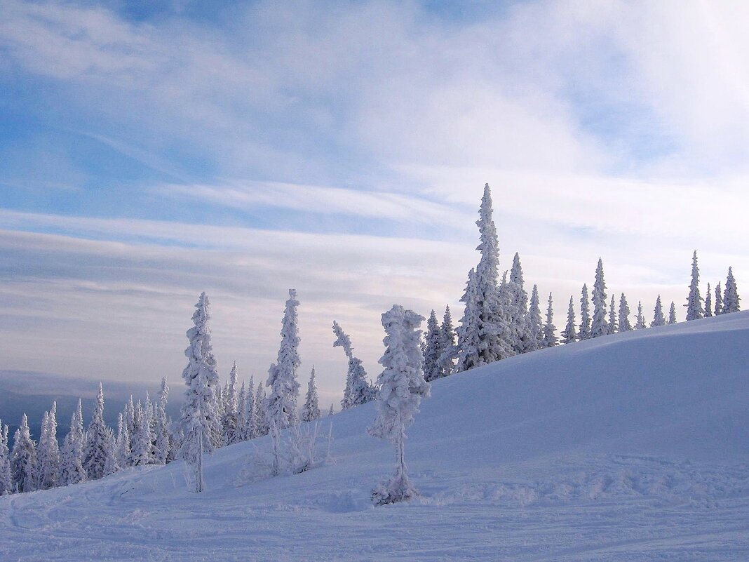 Природа Шерегеша - Галина Нестратова