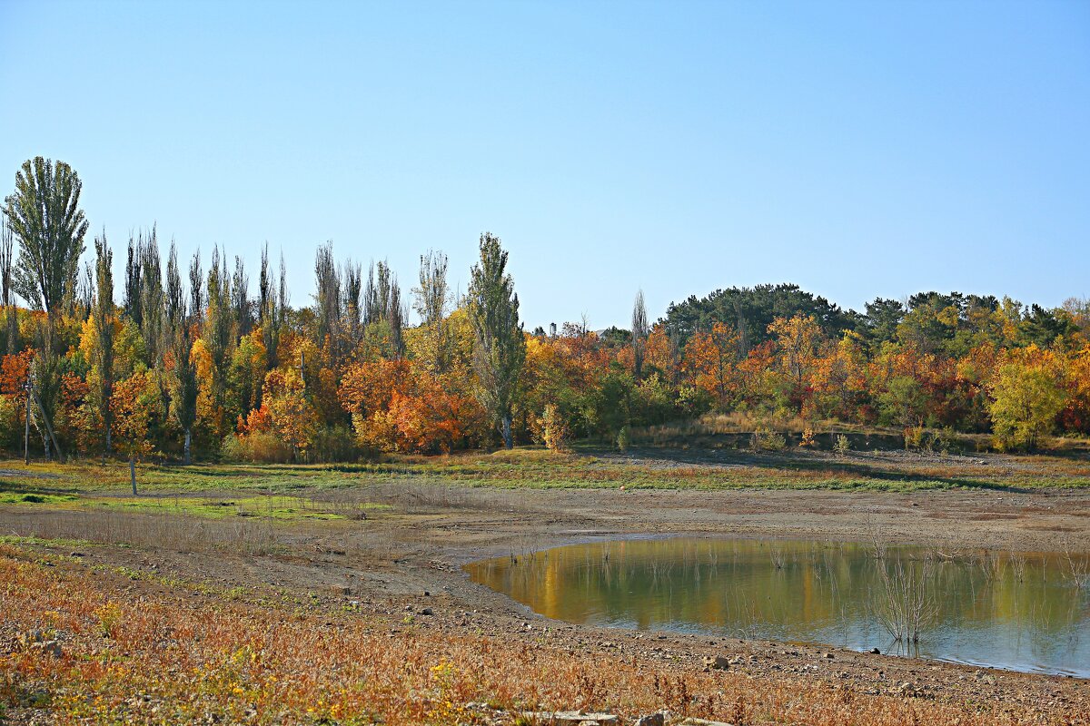 Осень  золотая - Валентин Семчишин