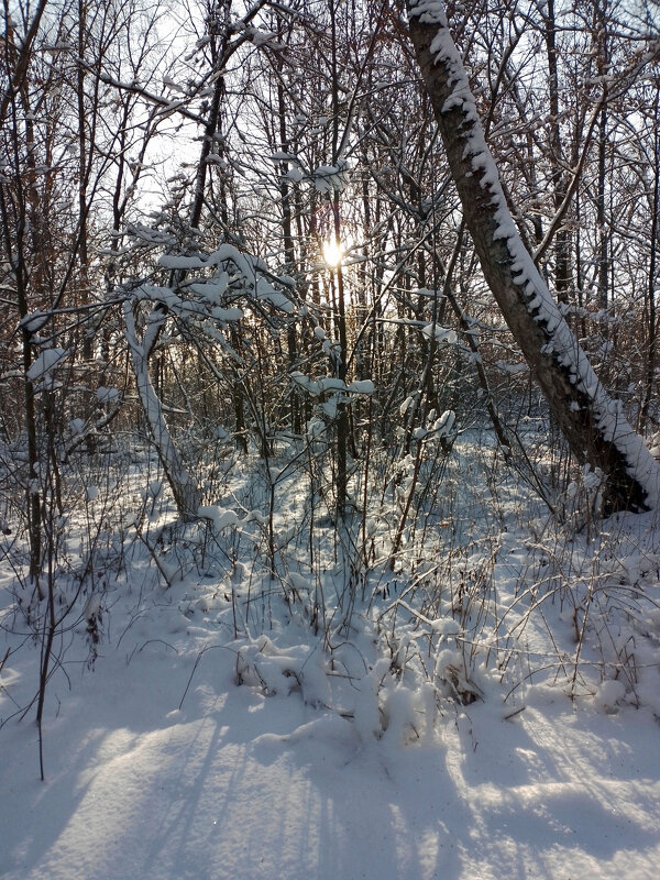 *** - Валентина Береснева