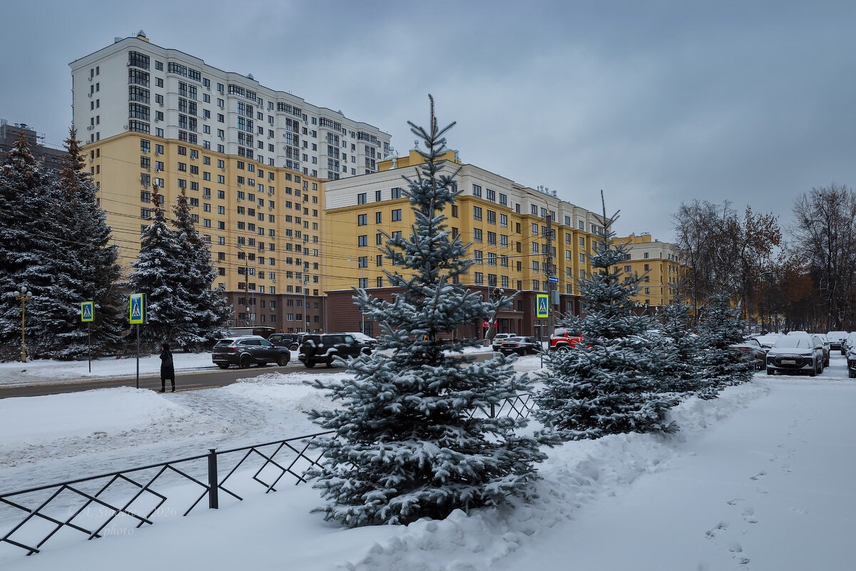 Голубые ели и новостройки - Александр Синдерёв