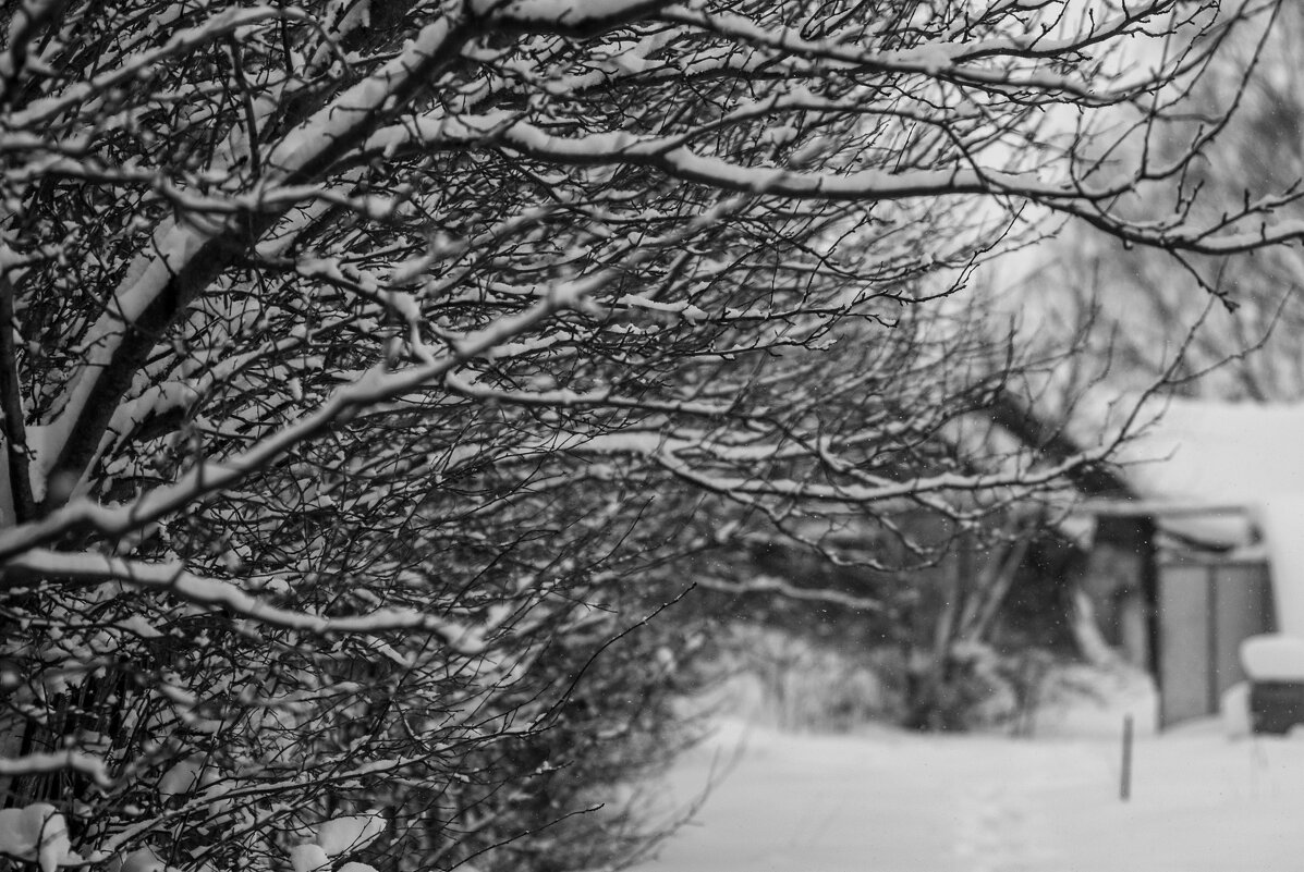 Зимнее - Владимир Иванович