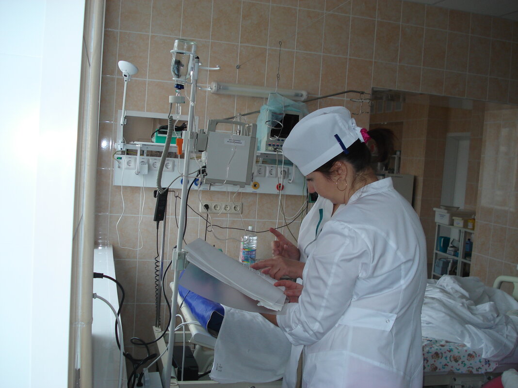 T - Андрей Л. В.