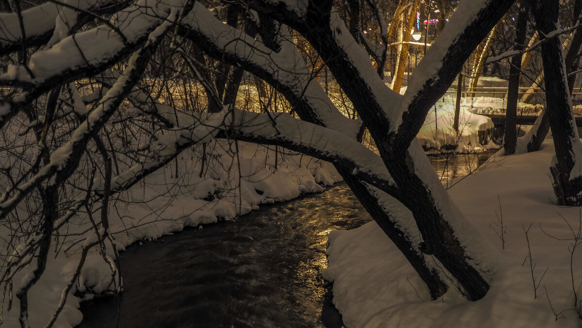 Вечер - юрий поляков