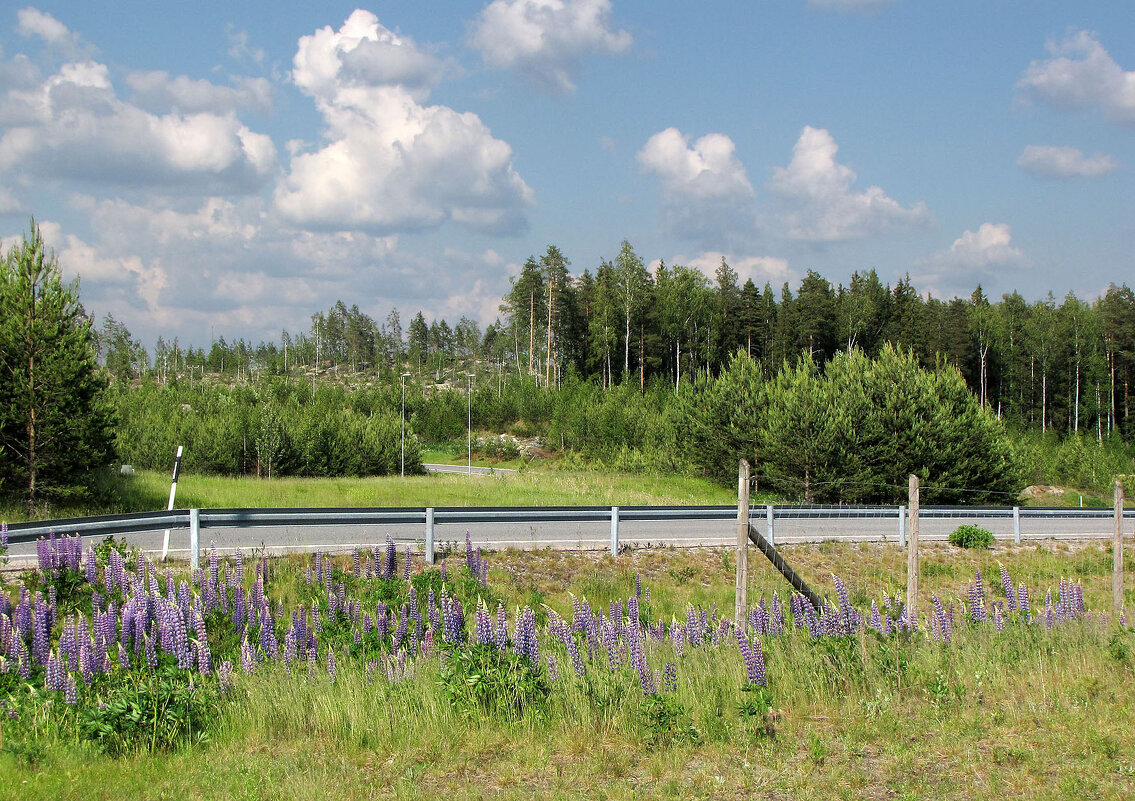 Пейзаж возле Hesburger (Хесбургер) - Александр Ильчевский Пейзаж возле Hesburger (Хесбургер) - Александр Ильчевский