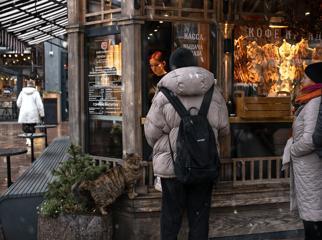 Маленький попрошайка - Лилия .