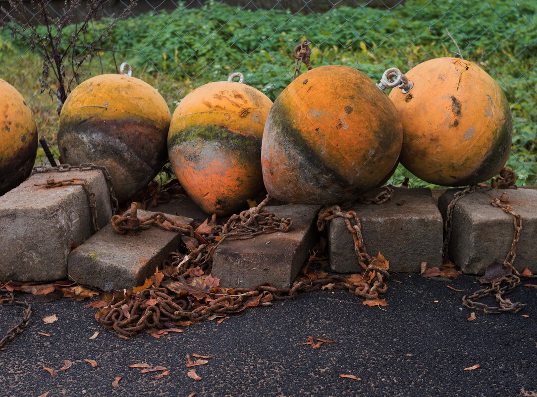 Буи на отдыхе - Валерий 