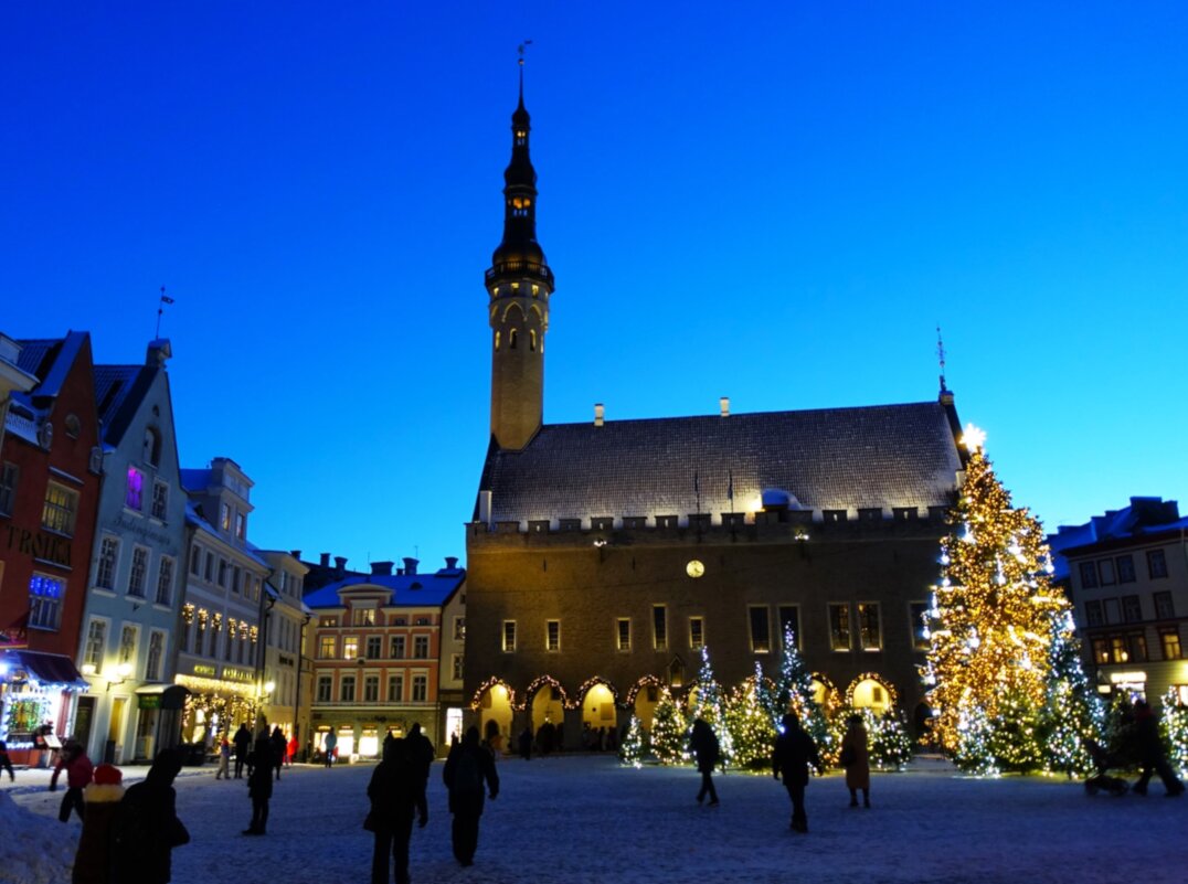 Новогодние прогулки - Aida10 