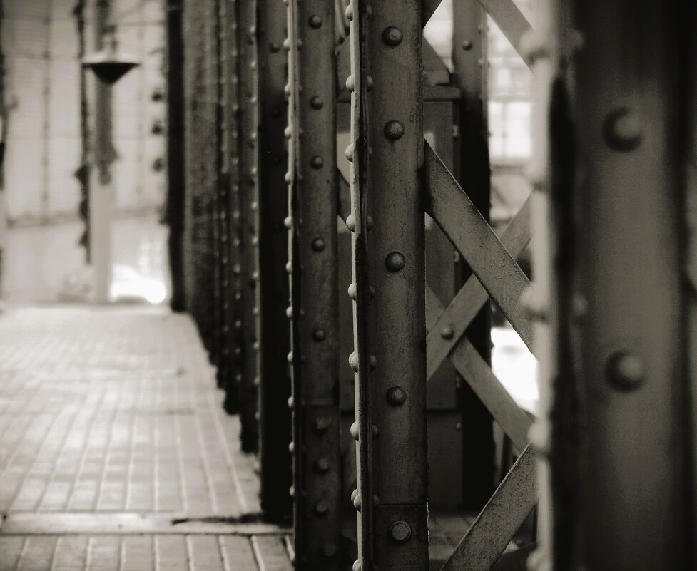 На Большеохтинском мосту - Магомед .