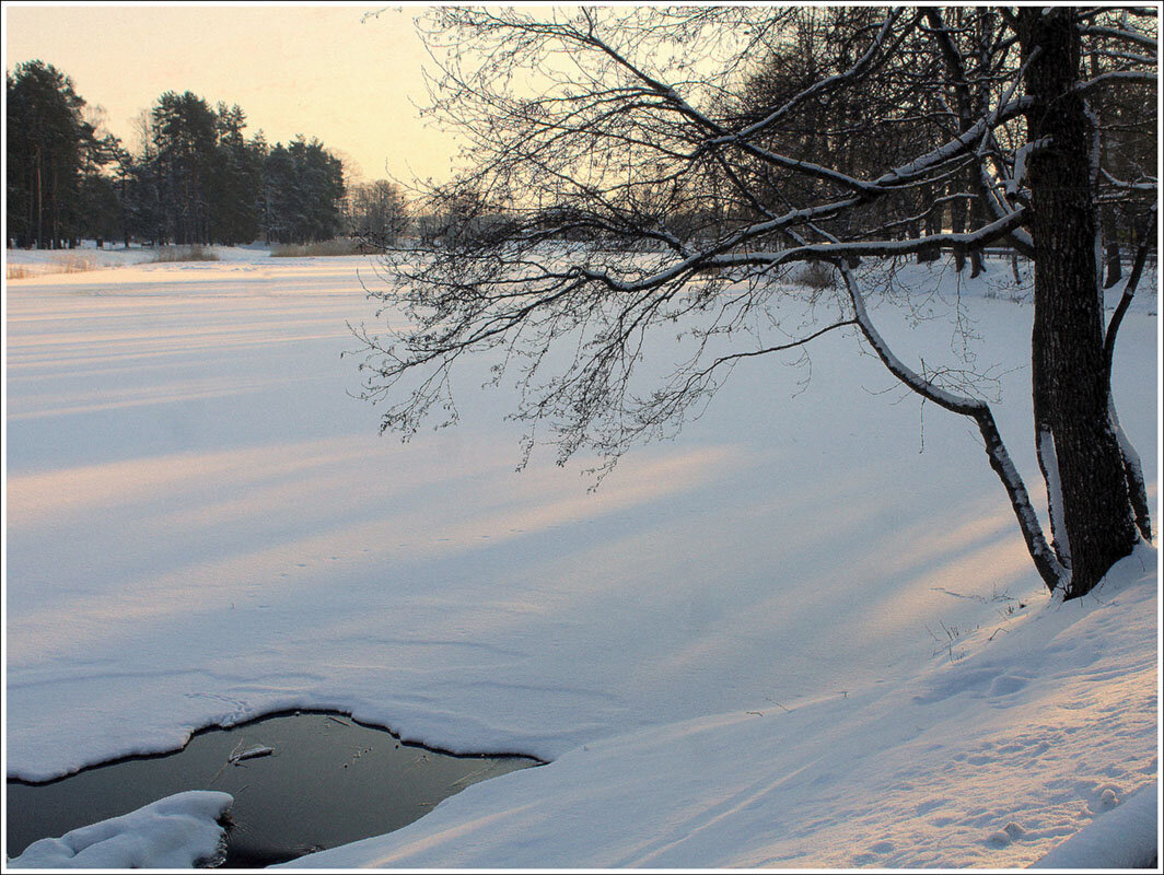 Долгожданная зима - Aleksandr Gal