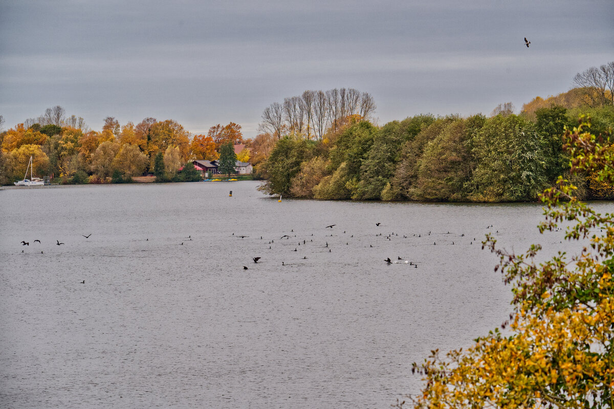 Озеро Липпа - Jakob Dick