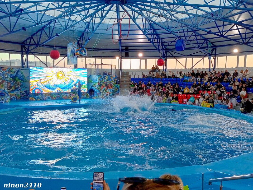 Адлер. Сочи Парк... Шоу дельфинов... - Нина Бутко