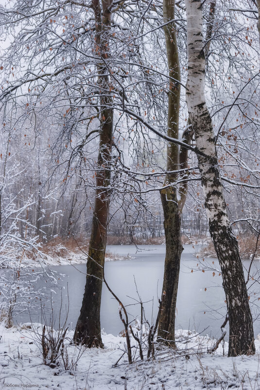 Начало зимы - Любовь Нардина Начало зимы - Любовь Нардина