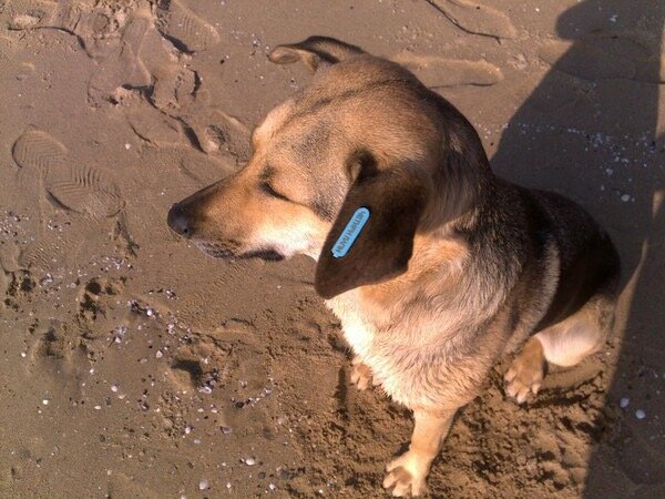 Долгий взгляд на море - Натали 