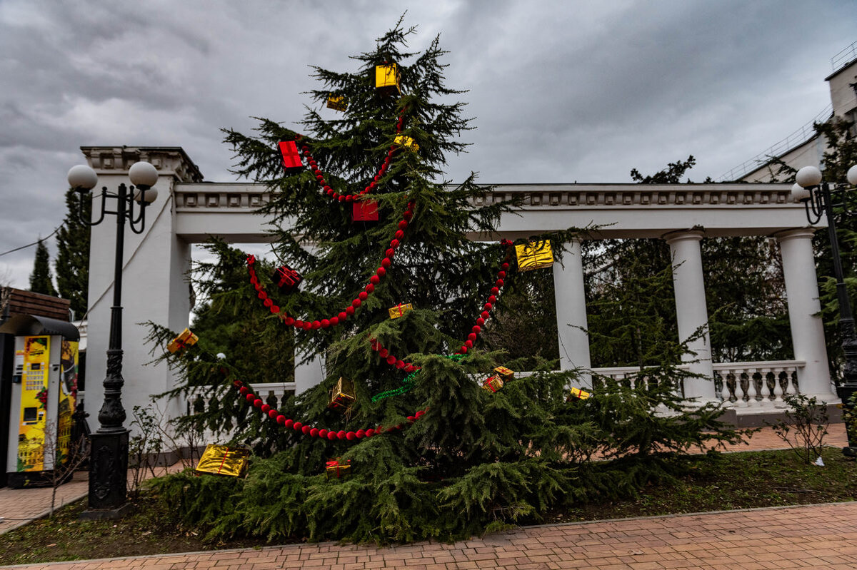 елочка в парке - Дмитрий Лупандин елочка в парке - Дмитрий Лупандин