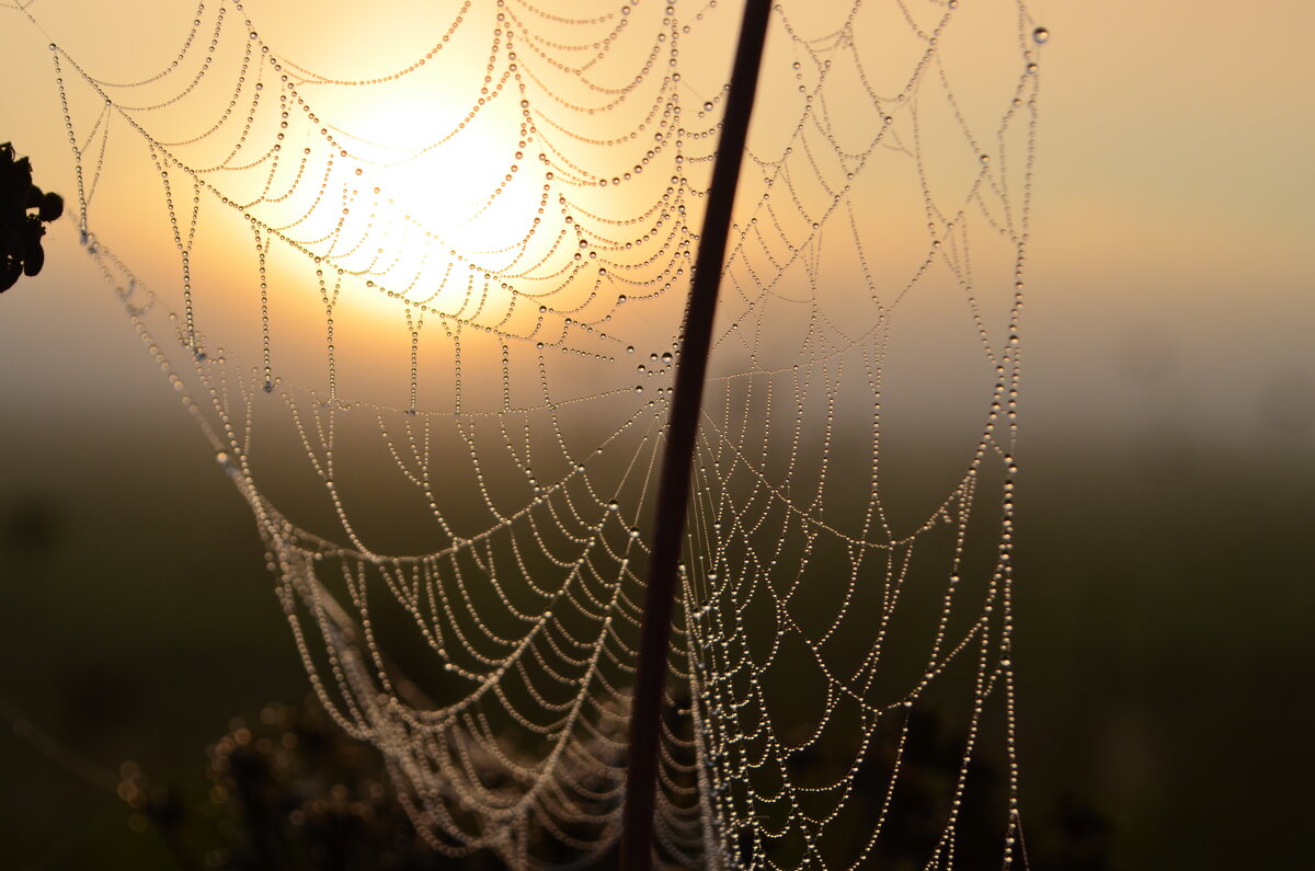 Перед рыбалкой - Prizrak 777 Перед рыбалкой - Prizrak 777