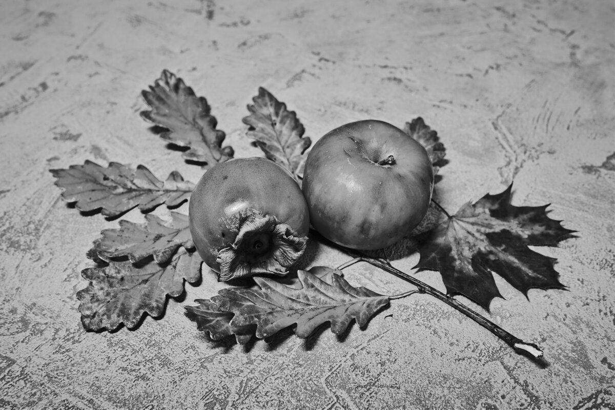 (°-°) - Jakob Dick