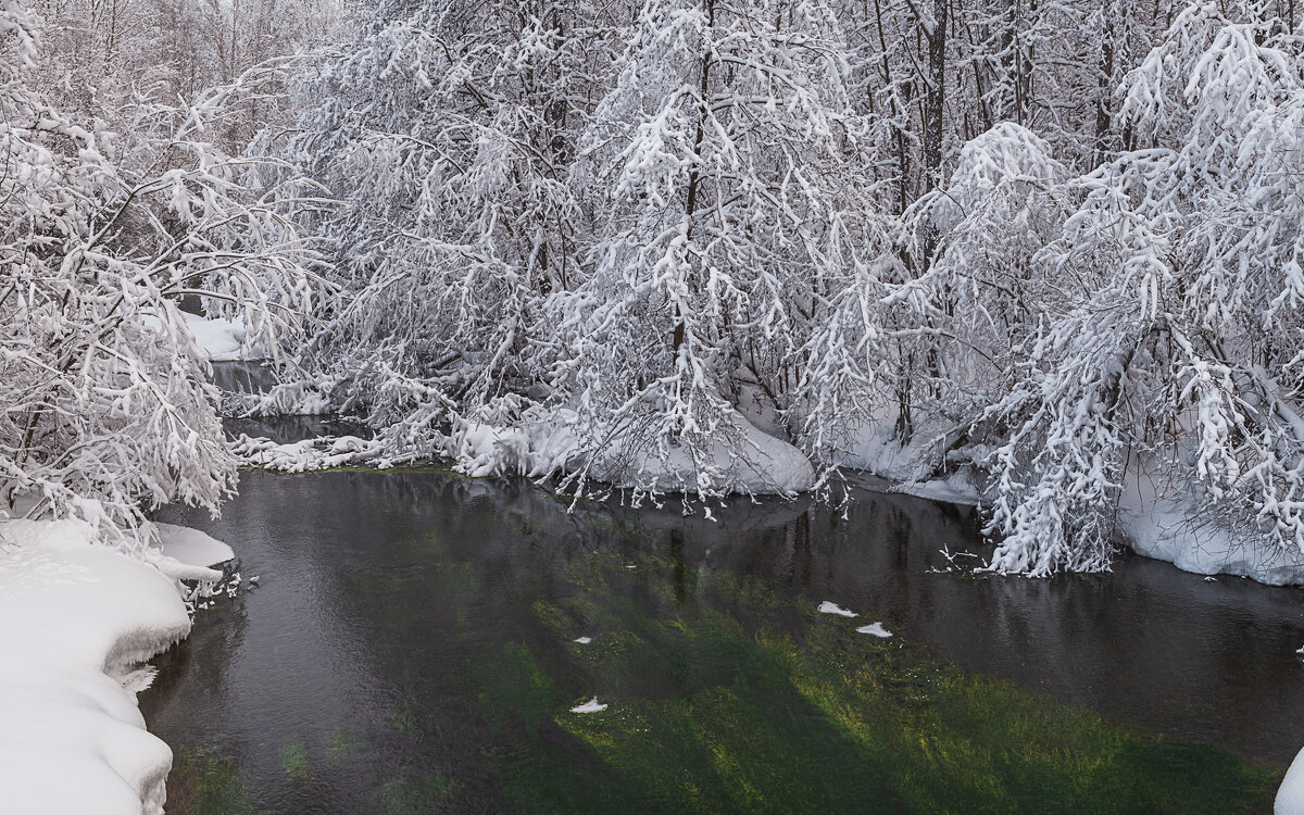 ... - Жора Житников