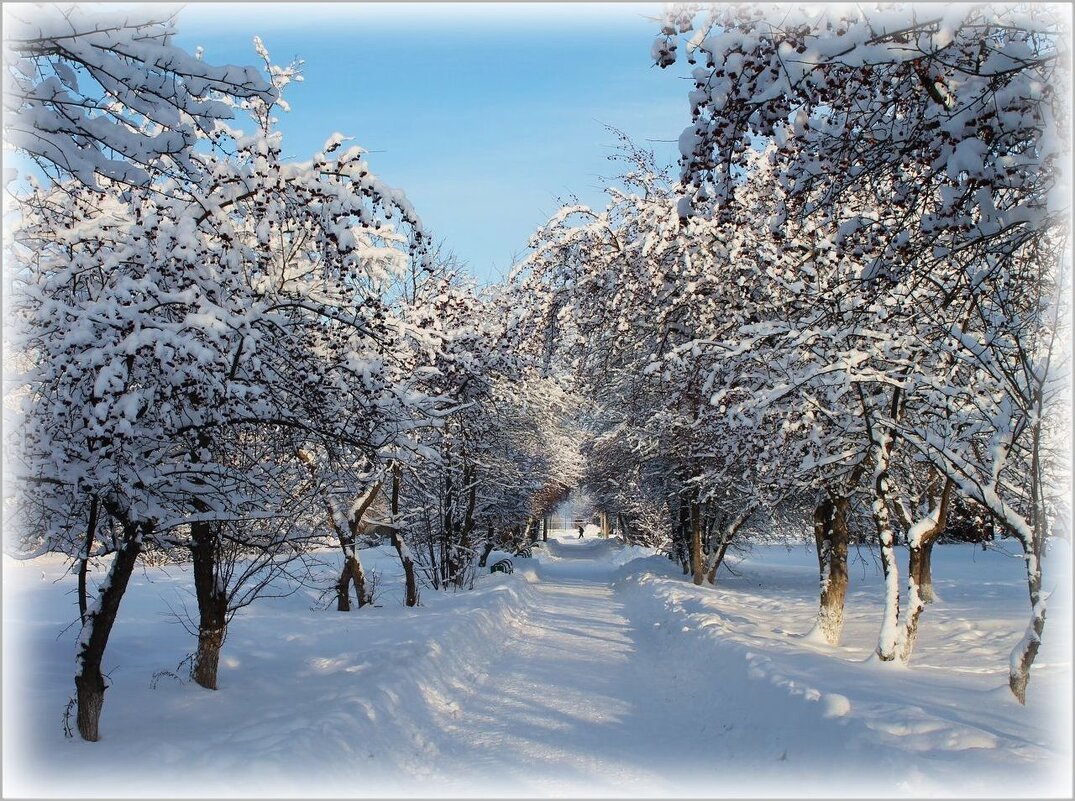 Зимняя сказка ... - Валентина Надсон