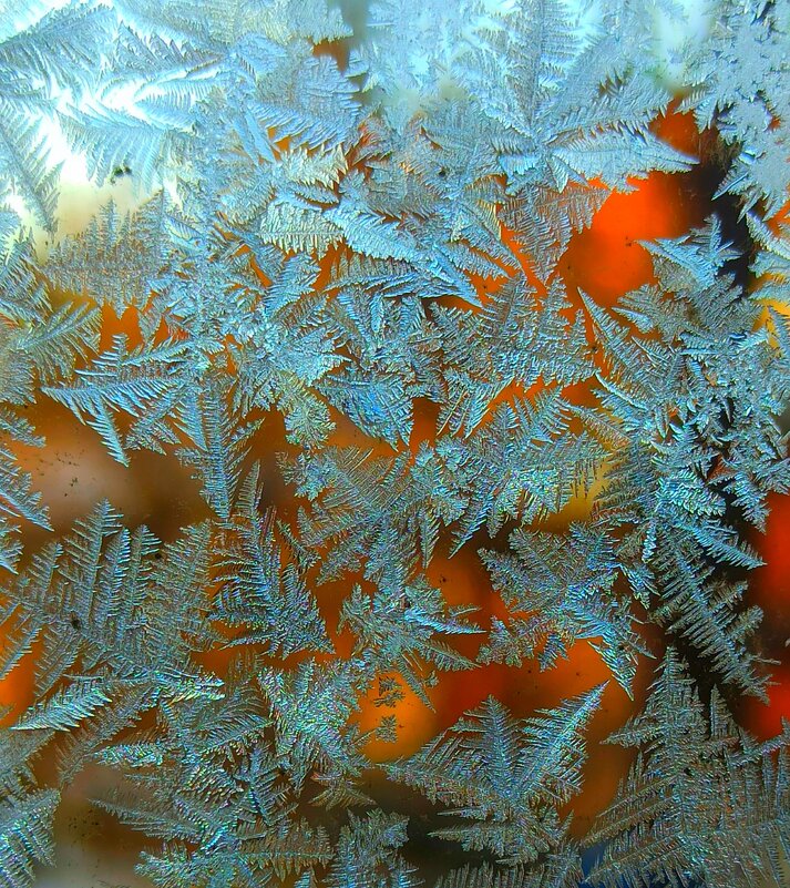 Всех поздравляю с Новым Годом! - veilins veilins