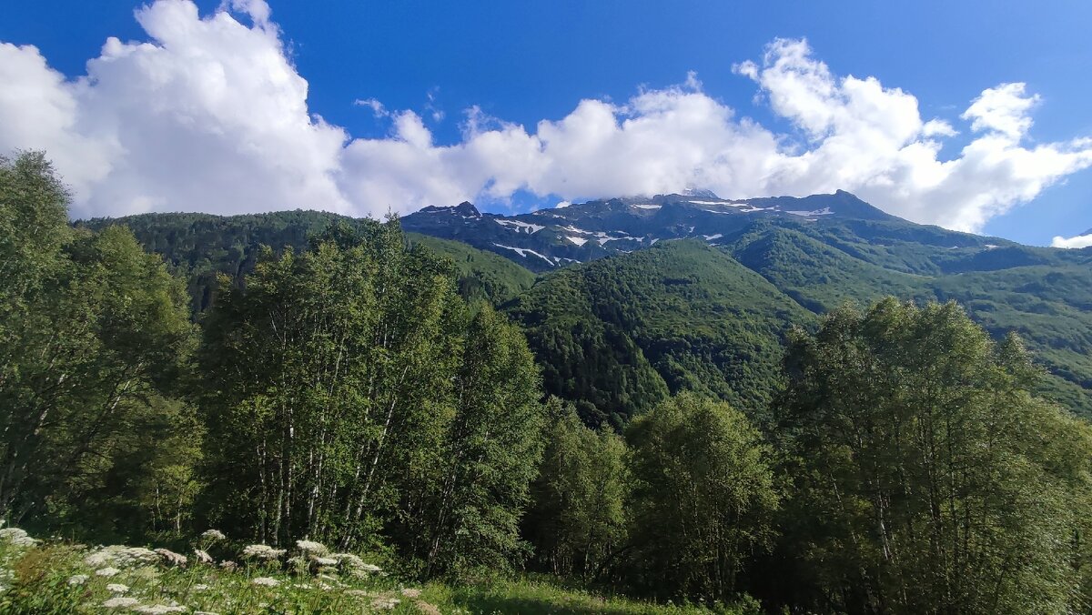 Домбай, лето - Екатерина Леш