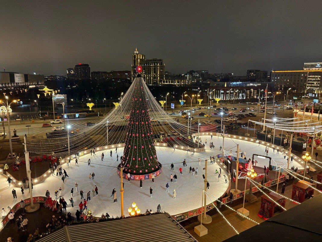 Одна из московских ёлок - Елена 