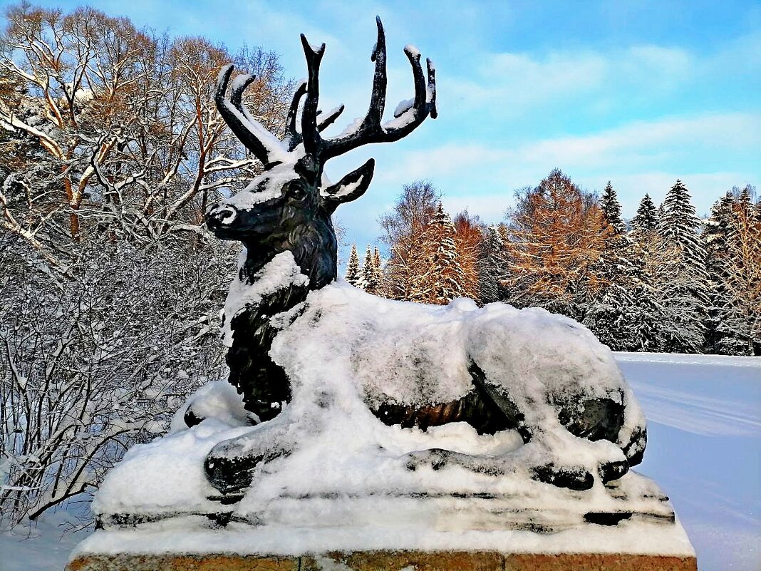 Олени вернулись на Олений мост. - Vladimir Semenchukov