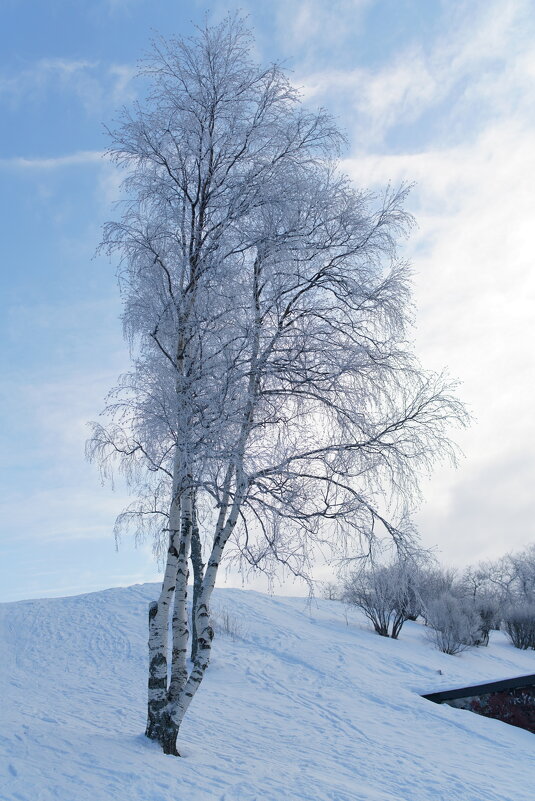 Зимний пейзаж - Алексей Исаков