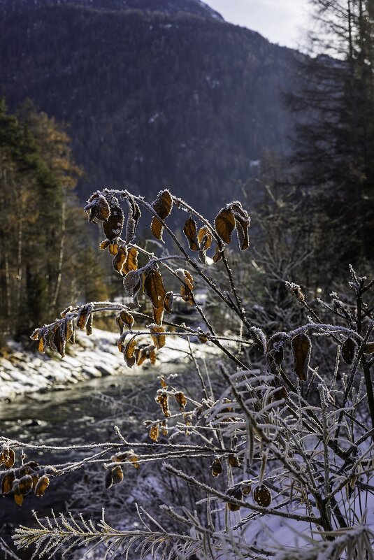 Остатки прошлой осени - Игорь Сикорский