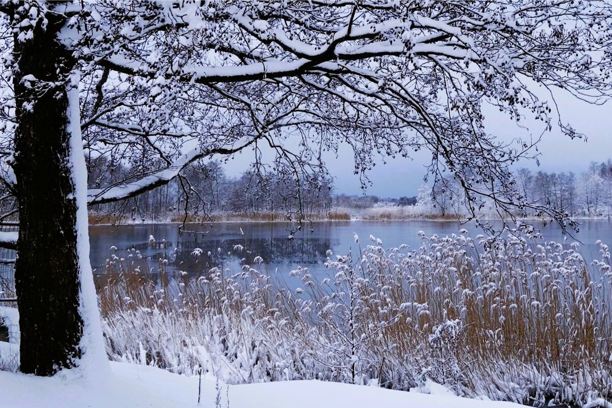 В окрестностях Калининграда - Рита Симонова