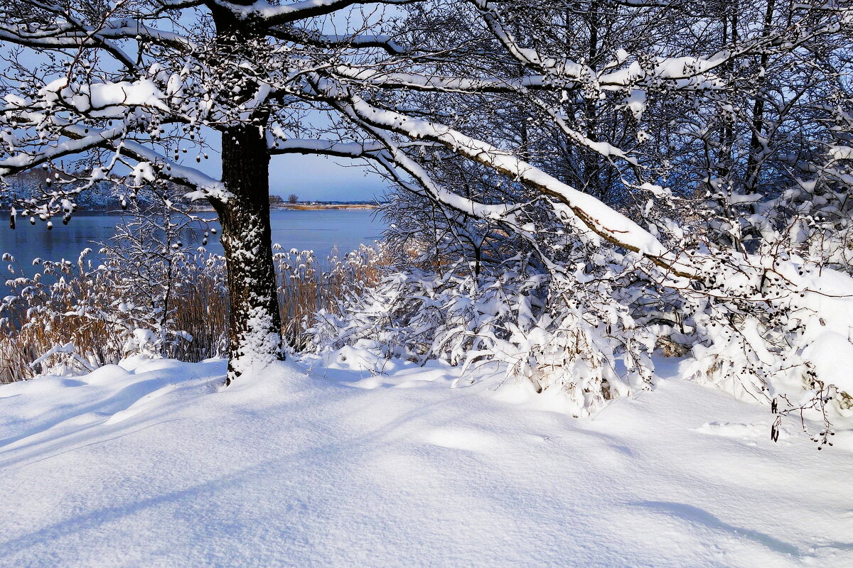 В окрестностях Калининграда - Рита Симонова