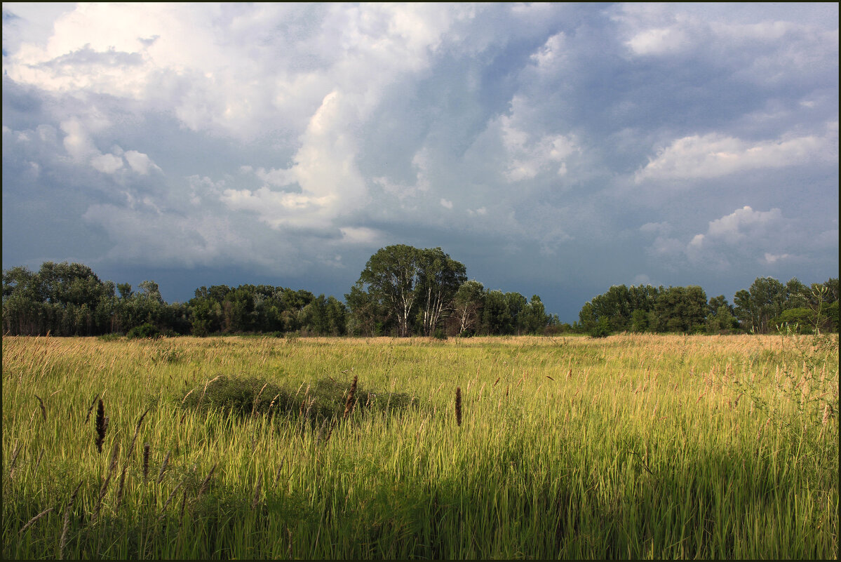 *** - Александр. AVG100 ---
