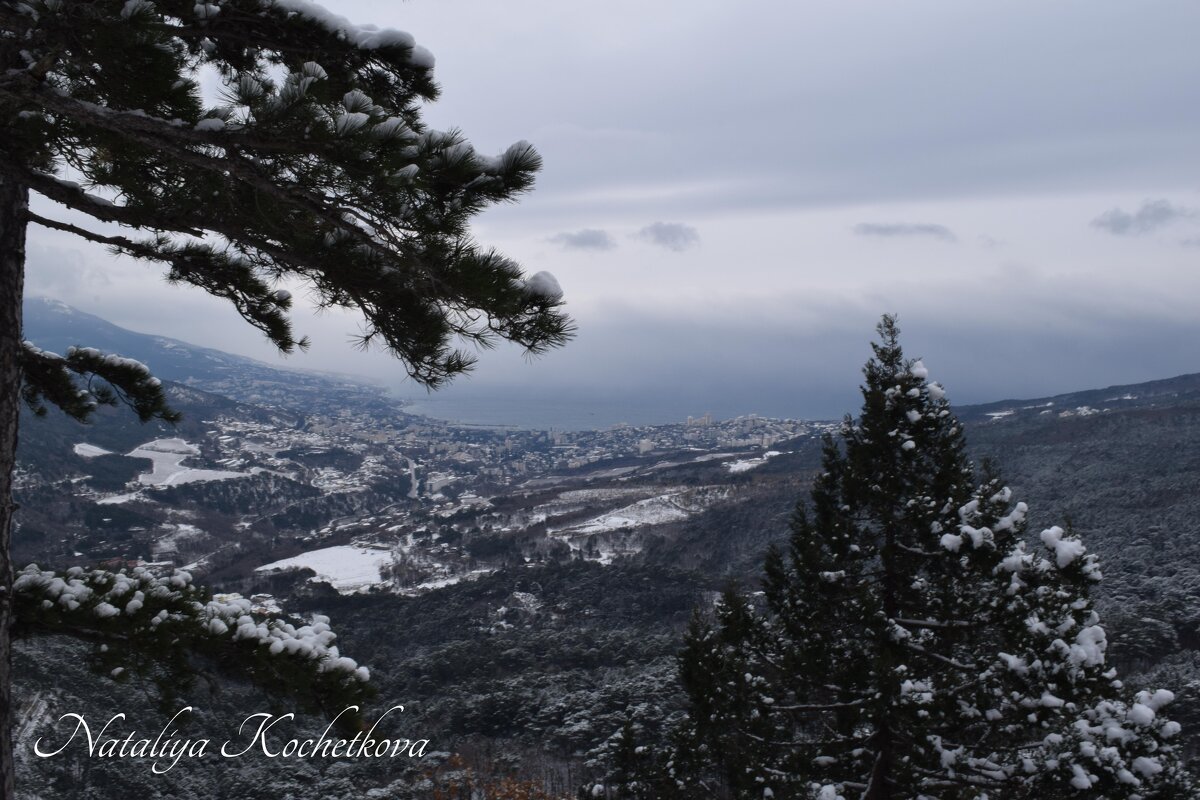 Природа Крыма - Amazing Cosmea