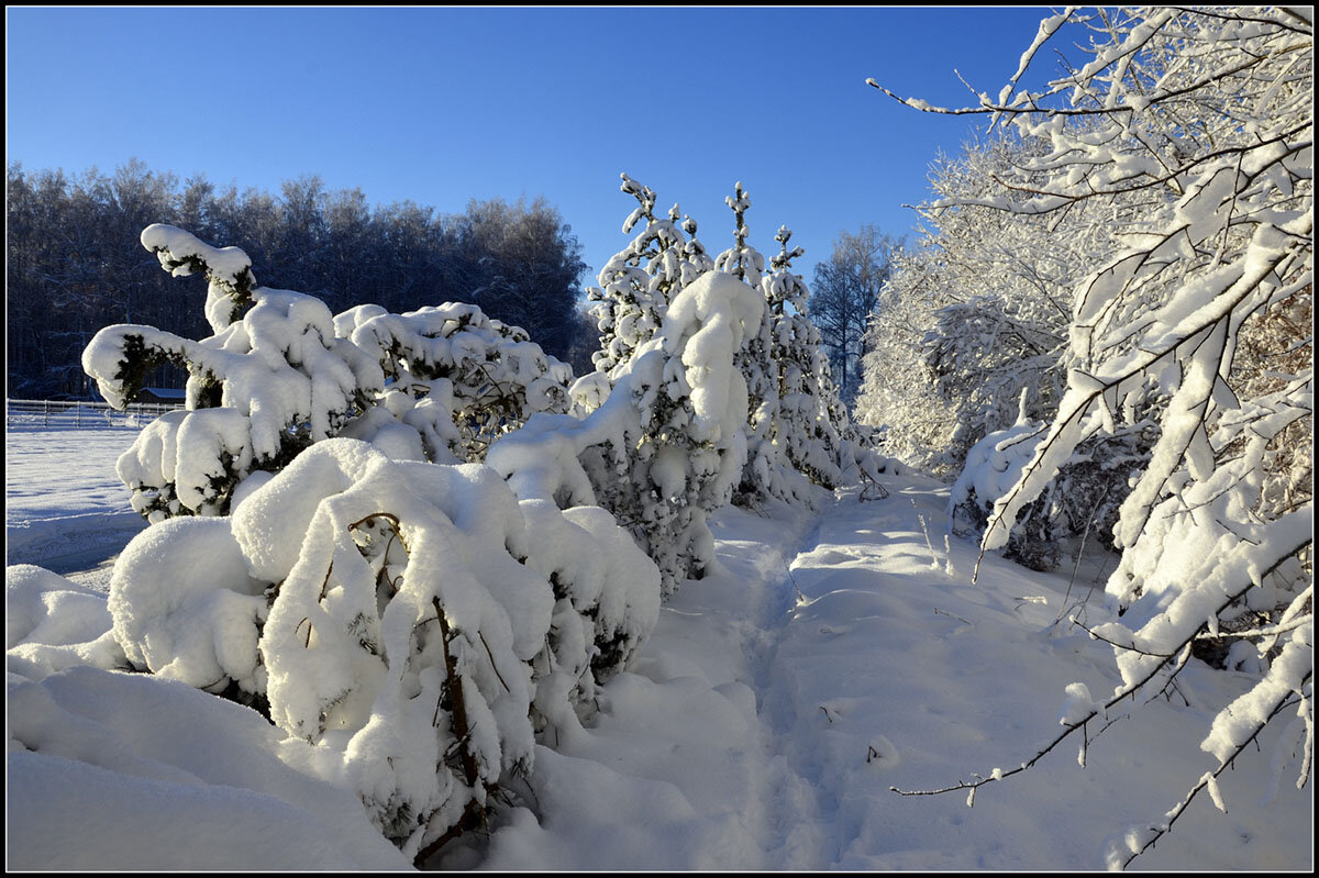 После снегопада - Aleksandr Gal